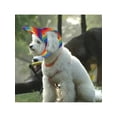 thumbnail image 3 of Pet Baseball Cap, Hat For Dogs, Teddy And Cats, 3 of 4