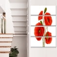 thumbnail image 1 of Close Up Vue de Coquelicot sur Fond Blanc - Impression sur Toile Florale, 1 of 3