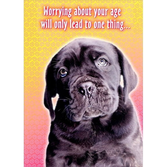 Oatmeal Studios Dog Worrying About Age Funny Birthday Card