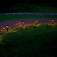 thumbnail image 5 of LumaBase Solar Powered Garden/Tabletop Lights, Black - Set of 4, 5 of 8