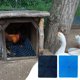 thumbnail image 1 of Ganfancp 1 Nido de Pollo Lavable Almohadillas para La Puesta de Huevos Nido Almohadillas para Gallinero Ropa de Cama de Pollo para Coop, Las Aves de Corral Celular Caja de Almohadillas para Los Pollo, 1 of 7