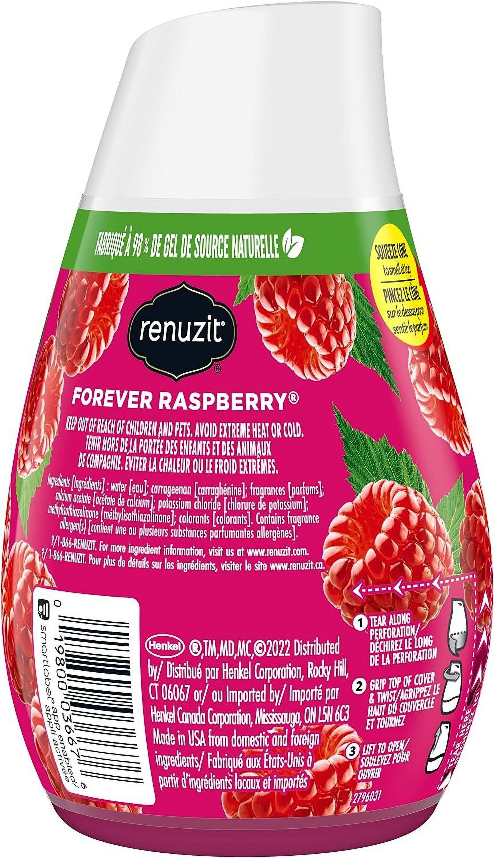 Green Raspberry Scent Raspberry Scent Cone Renuzit Solid Adjustables Air Freshener ...
