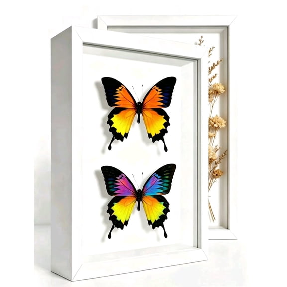 JinBeiXi 2 Pack White Shadow Box Frame 5x7, Small Display Case for Memorabilia, Dried Flowers, Tickets & Photos, Wall & Tabletop Deep Memory Box for Wedding & Pet Memorial