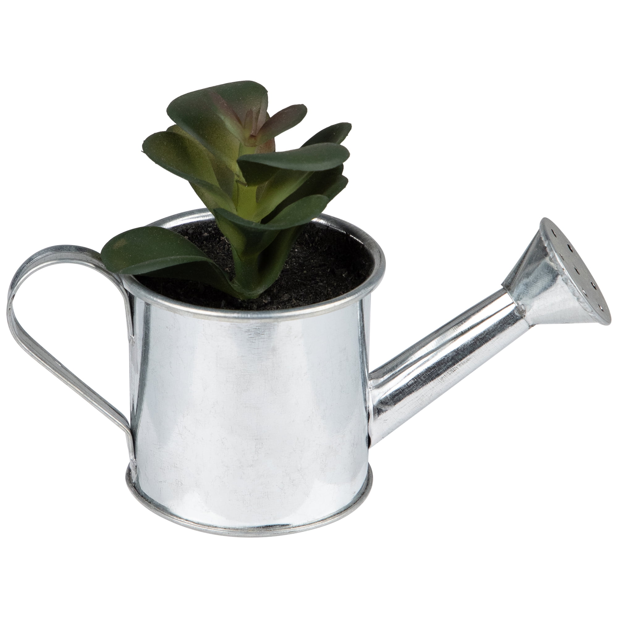4" Adorable Tropical Green Mini Artificial Succulent in Tin Water Can