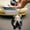 🔥 Black, variant on TTJ Bag Charms for Handbags Little Gifts for Women Exquisite And Cute Doll Keychain Pendant Furry Toy Backpack Pendant Beautifully Packaged Car Key Decoration Making More Interesting