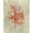 thumbnail image 2 of Vision Studio 12x14 White Modern Wood Framed Museum Art Print Titled - Coral in Terra Cotta, 2 of 4