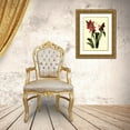 thumbnail image 3 of Cotton, B 11x14 Gold Ornate Wood Framed with Double Matting Museum Art Print Titled - Royal Botanical Study I, 3 of 4