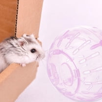 Toyvian Outdoor Exploration Hamster Rolling Ball Pink Plastic For Pet Owners 1Pcs