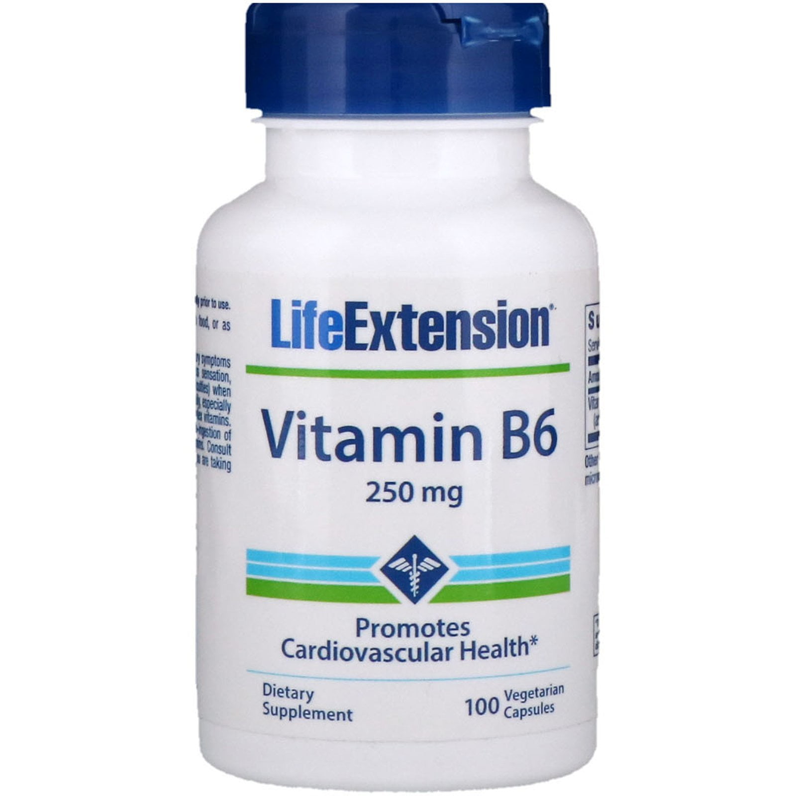 Life Extension Vitamin B6 250 mg 100 Vegetarian Capsules