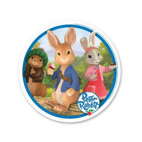 Peter Rabbit Edible Icing Image Cake Decoration Topper -1/4 Sheet