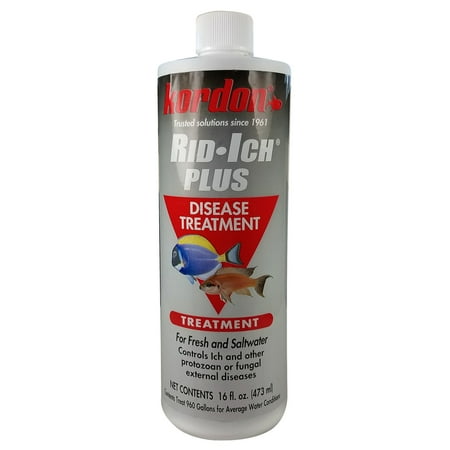 UPC: 0048054376566 | Kordon Rid Ich Plus Disease Treatment for Fresh and Saltwater  16 fl oz.