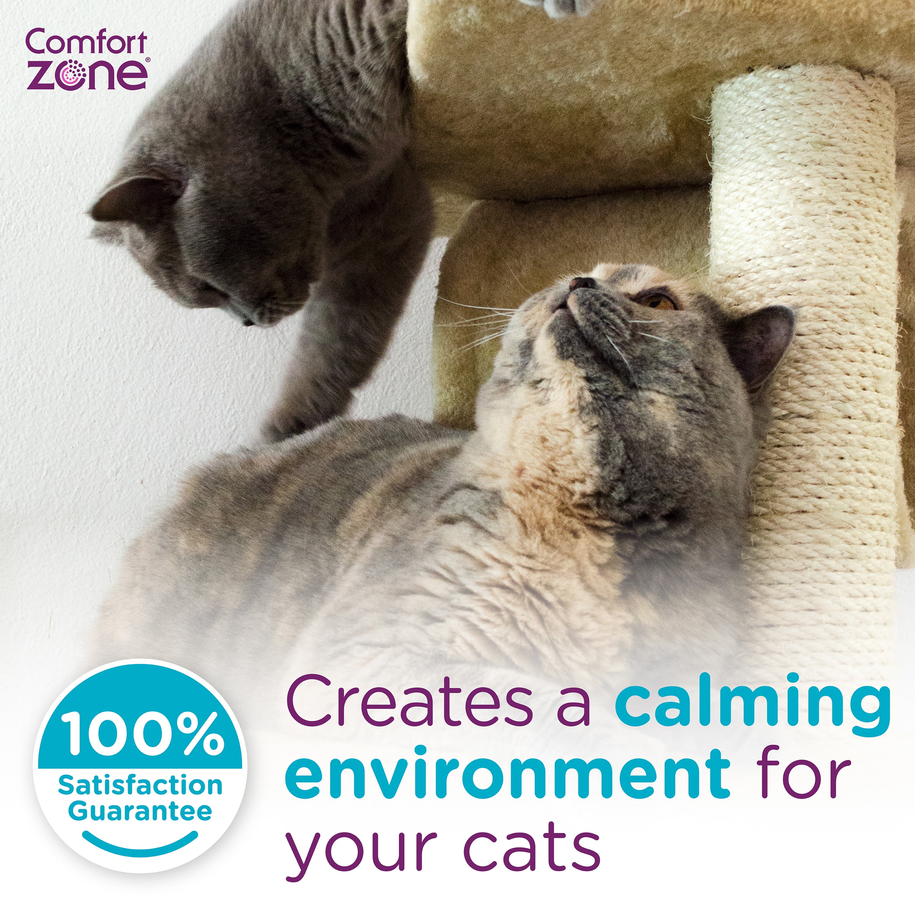 Comfort zone multicat diffuser refills best sale 6 pack
