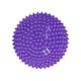 thumbnail image 1 of Balance Step Hedgehog Balance Pod Gross Motor Development Balance Training Toy Violet, 1 of 9