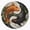 1pcs, variant on Two Koi Fish Circular Yin Yang Traditional Design Vinyl Sticker