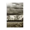 thumbnail image 2 of Gango Home Decor Winter Fields V by Alan Hausenflock (Printed on Paper); One 24x36in Fine Art Paper Giclee Print, 2 of 4