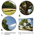 thumbnail image 3 of Designart "Majestic Oak Trees Nature s Wonders II" Floral Wall Decor, 3 of 5