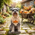 thumbnail image 6 of AYktou Fall Dog Bandanas, Thanksgiving Pet Bandana Reversible Adjustable Dog Neck Scarf, Cute Washable Pet Scarves for Halloween Holiday Parties Photography Medium Large Dogs Festive Dress Up, 6 of 6