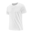 thumbnail image 1 of Men's Summer Solid Color Ice Silk Round Neck Quick Drying T-Shirt - Lightweight and Stylish, 1 of 5