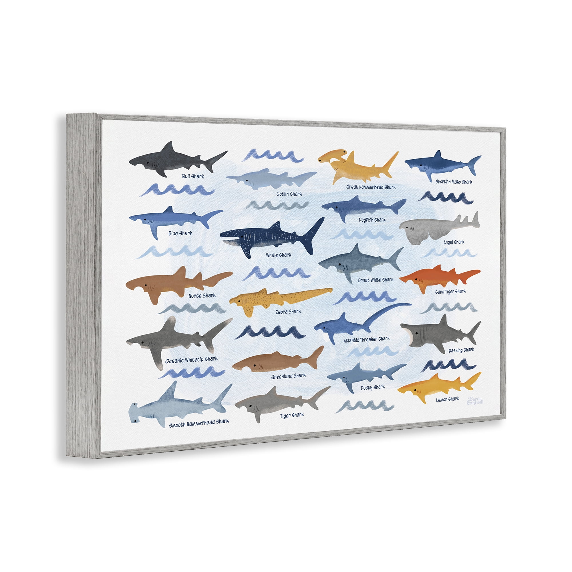 Stupell Industries Various Shark Breeds Coastal Painting Gray Framed Art Print Wall Art, 24 x 16