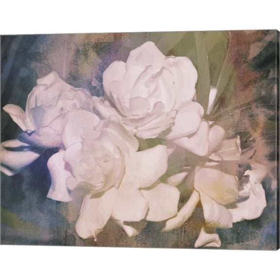 Great Art Now Blush Gardenia Beauty I by Sharon Chandler, Canvas Wall Art, 20W x 16H