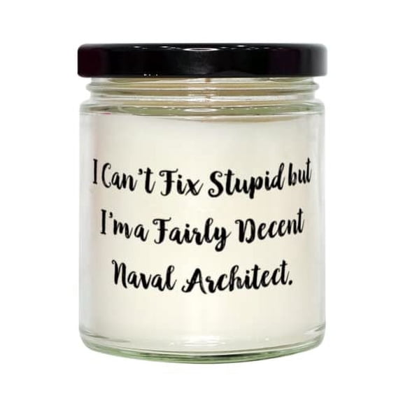 Inappropriate Naval architect Gifts, I Can't Fix Stupid but I'm a Fairly Decent Naval Architect, Special Holiday Candle From Coworkers