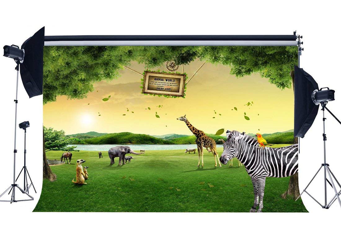 GoEoo Vinyl 7X5FT Zoo Park Backdrop Animals World Backdrops Zebra Giraffe Jungle Forest Green Grass Meadow Cartoon Photography Background for Boys Girls Happy Birthday Photo Studio Props 