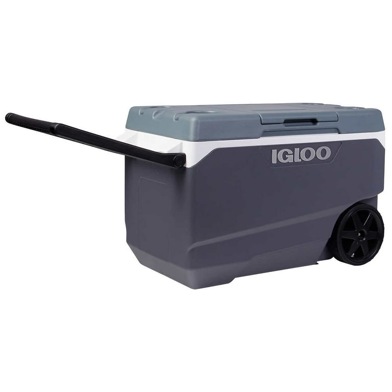 Buy IGLOO Legend 00002204 Beverage Cooler, 1 gal Cooler, Flip