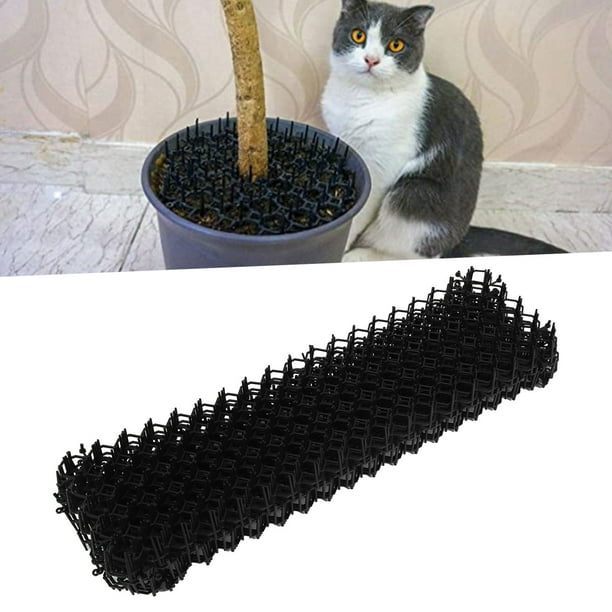 Cat scat mat clearance walmart