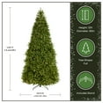 thumbnail image 5 of National Tree Company 12 ft Pre-Lit Dunhill Fir Artificial Christmas Tree, 1,200 LED Lights, 7,794 Tips, PowerConnect, Foot Pedal, 10 Light Functions, Includes Stand, Green, 5 of 10