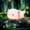 colorfull, variant on D.FAMILY Axolotl Night Light, LED Silicone Squishy Lamp, USB Rechargeable Mood Light for Home Decor