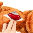 thumbnail image 4 of Juguete de 2 piezas del , juguetes de entrenamiento conductuales calmantes para perros Jinwen Muñecos de peluche de animales, 4 of 7