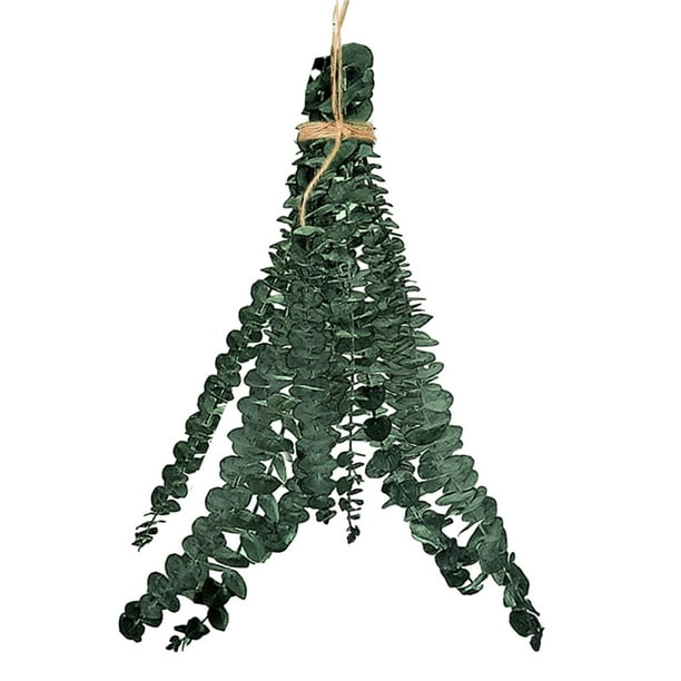 Shower Eucalyptus Hanging Natural Eucalyptus Plant for Shower 10 PCS Hanging Natural Live