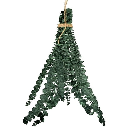 

Firxreer Shower Eucalyptus Hanging | Natural Eucalyptus Plant for Shower 10 PCS | Hanging Natural Live And Aromatic Self Care Eucalyptus Leaves Bundle