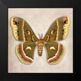thumbnail image 2 of Reynolds, Richard 12x12 Black Modern Framed Museum Art Print Titled - Cecropia Moth, 2 of 5