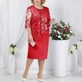 thumbnail image 1 of Robe Midi en Dentelle à Manches Courtes pour Femmes Grande Taille Robe de Cocktail Soirée, 1 of 5