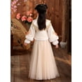 thumbnail image 6 of Girls Cute Pink Tang Suits, Fleece Thermal Vintage Embroidered Tassel Top & Mesh Skirt Set, Chinese Style Traditional Hanfu  6-7T, 6 of 11