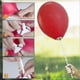 thumbnail image 3 of Clear Balloon Sticks - 100 Pack, 40cm for Party Decor Including Weddings, Birthdays, and Holiday Celebrations, 3 of 5
