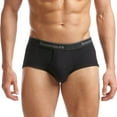 thumbnail image 2 of Stanfield's Men's 2 Pack Supreme Cotton Blend Regular Rise Briefs Underwear, 2 of 6