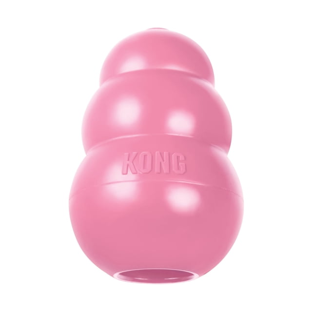 Goma de dentición natural Chew Toy KONG Puppy para perros grandes