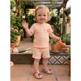 thumbnail image 5 of Cenuakty Baby3M 6M 12M 18M 24M 2T 3T Girl 2Pcs Summer Outfits Short Sleeve Fruit Embroidery Tops and Shorts Set Toddler Spring Clothes, 5 of 9