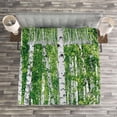 thumbnail image 3 of Ambesonne Birch Tree Quilted Bedspread Set 3 Pcs, Fresh Summer Leaves, King Size, Green White Black, 3 of 3