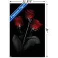 thumbnail image 3 of Red Rose Wall Poster with Push Pins, 22.375" x 34", 3 of 3