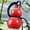 Red, variant on Drinking Gourd 800 ML Heat-Resistant Water Gourd with Lanyard Portable Unisex Gourd Water Bottle Sealed and Leak-Proof for Offices