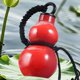 thumbnail image 1 of Botella de agua con forma de calabaza oriental | Vaso de hidratación portátil para exteriores con correa cruzada | Recipiente de plástico apto para alimentos para senderismo, 1 of 6