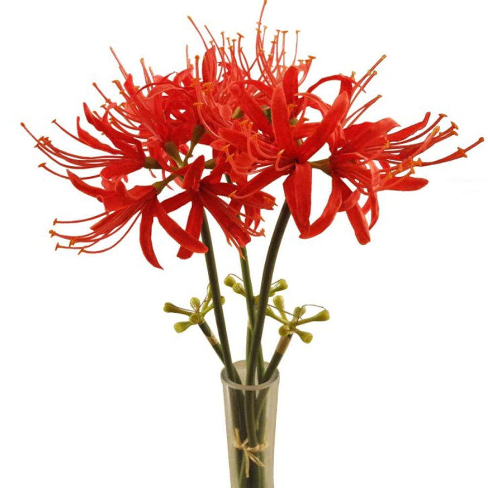 3 Pcs Red Spider Lilies Artificial Flowers Lycoris Bulbs with Stem for Home Office Hotel Living Room Decoration,26 inch Long