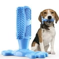 thumbnail image 1 of Mistaha Durable Dog Toothbrush Toy for Large Dogs - Enhanced Material for Long-lasting Chewing - Oral Care & Fresh Breath - Blue L, 1 of 6