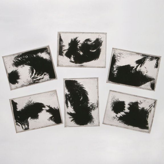Student Magnetic Field Demonstrator Value Pack