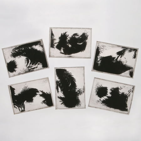 Student Magnetic Field Demonstrator Value Pack price history on PriceWatchPro