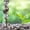 peacock, variant on 7Inch Capacity Rain Gauge Metal Spiral Rain Gauge with Bird Ornament Outdoor Water Gauge Durable Rain Falling Measuring Instrument for Garden Lawn Backyard Decoration