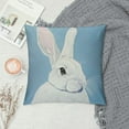 thumbnail image 2 of Nawypu Easter Decorative Throw Pillow Covers,Spring Rabbit Bunny Cushion Cover, 2 of 5